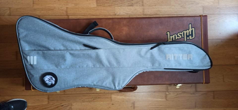 Funda semirígida Ritter para Gibson Explorer de segunda mano · Foto 1 de 4 · Pontevedra · 35 €