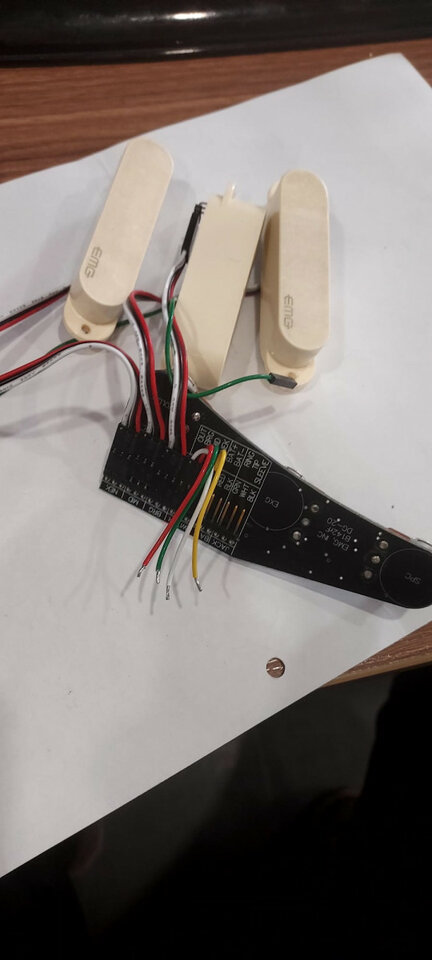 Pastillas activas marca EMG modelo David Gilmour