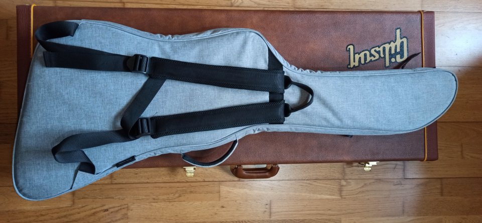 Funda semirígida Ritter para Gibson Explorer de segunda mano · Foto 2 de 4 · Pontevedra · 35 €