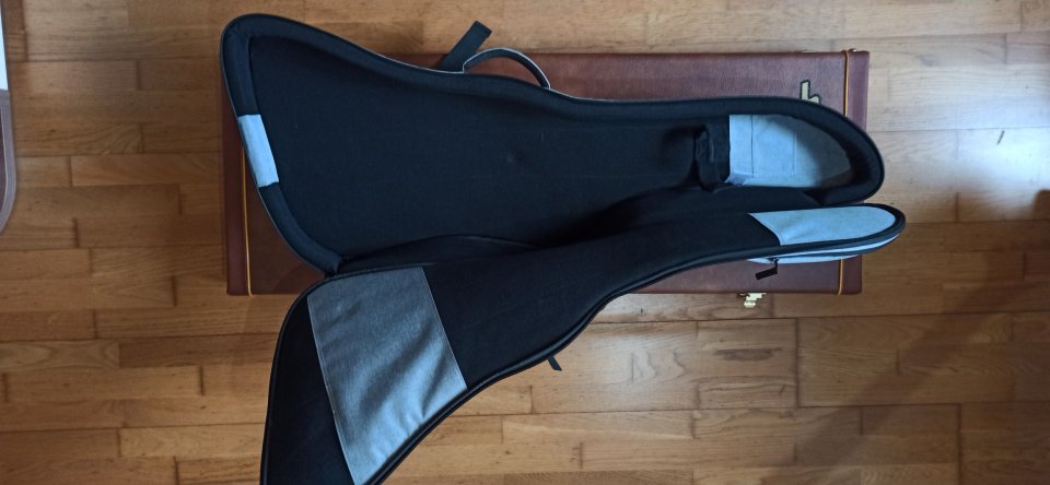 Funda semirígida Ritter para Gibson Explorer de segunda mano · Foto 3 de 4 · Pontevedra · 35 €