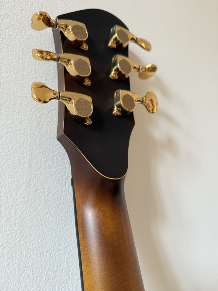 Moffa Lorraine semi hollow de segunda mano · Foto 3 de 10 · Barcelona · 7000 €