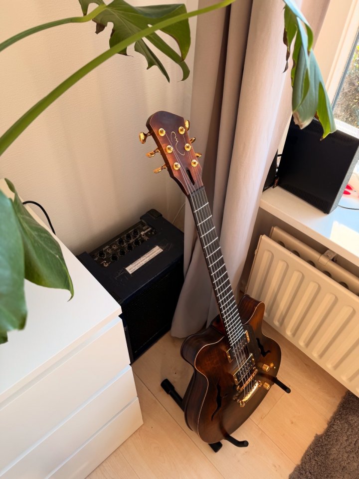 Moffa Lorraine semi hollow de segunda mano · Foto 5 de 10 · Barcelona · 7000 €