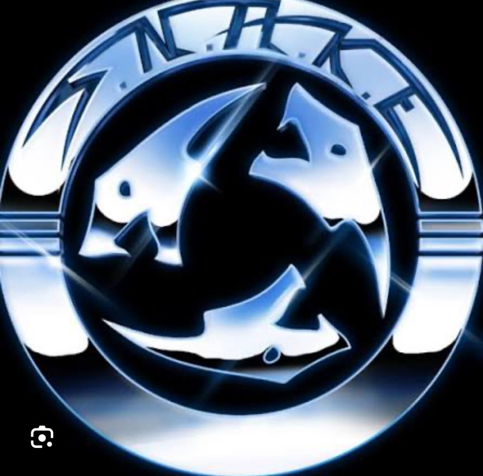 Se busca guitarra solista