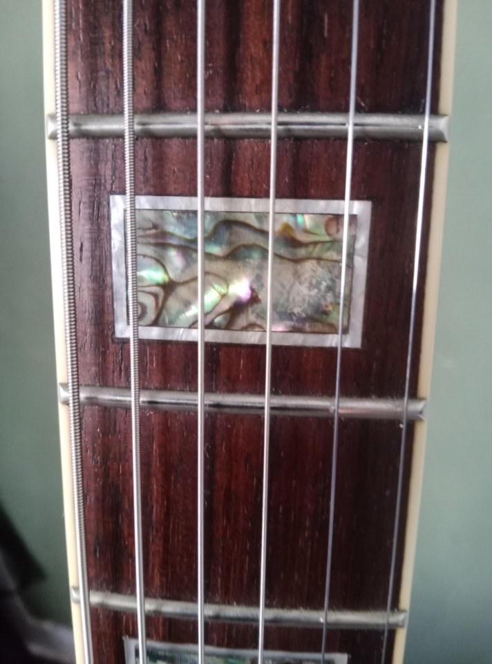 Ibanez AK95 de segunda mano · Foto 8 de 8 · Salamanca · 425 €