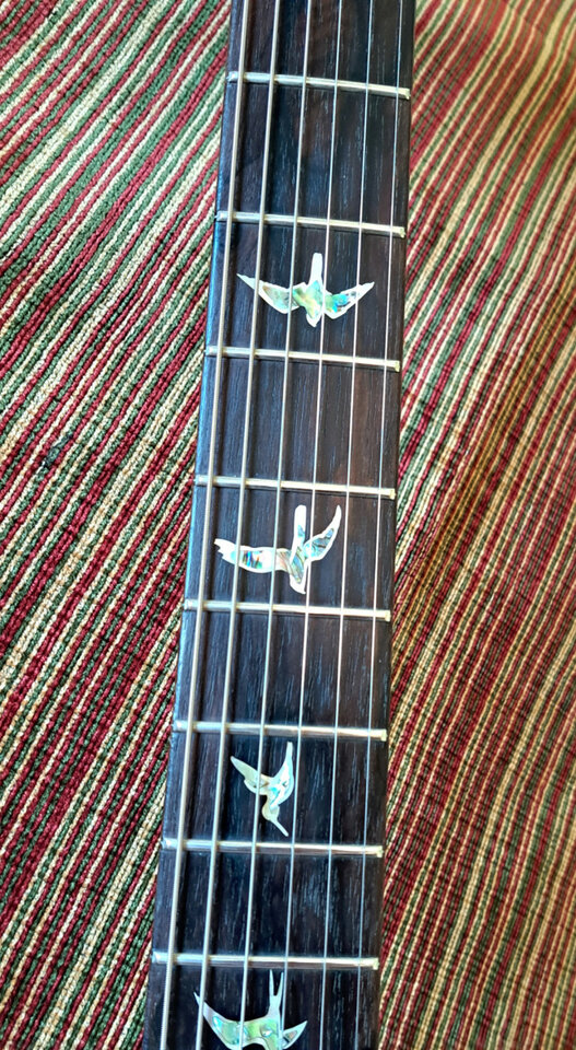 CAMBIOS, PRS Wood Library, limited Edition,10 Top