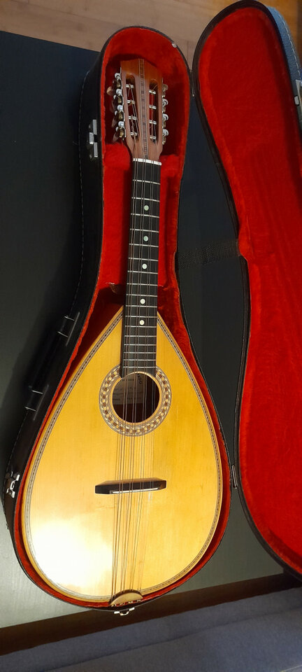 Mandola de Domingos Machado