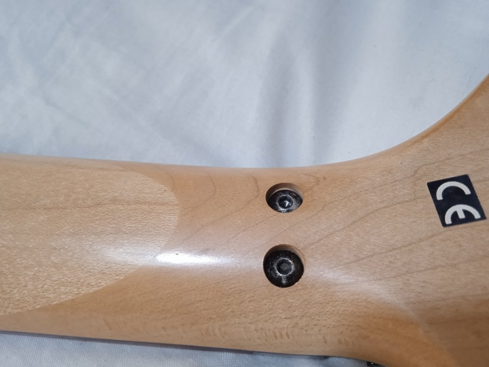 mástil Ibanez RG470