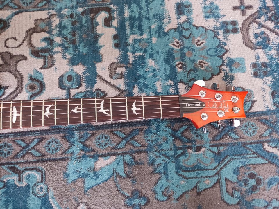 PRS Tremonti SE (2017 Corea)