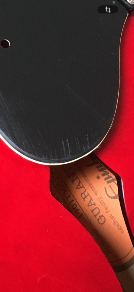 Robo de mis 2 guitarras, epiphone dot studio  y Gibson Sg tribute