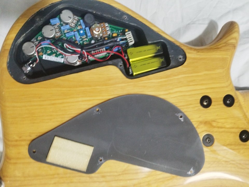 Bass tune twb-5 serie wood custom