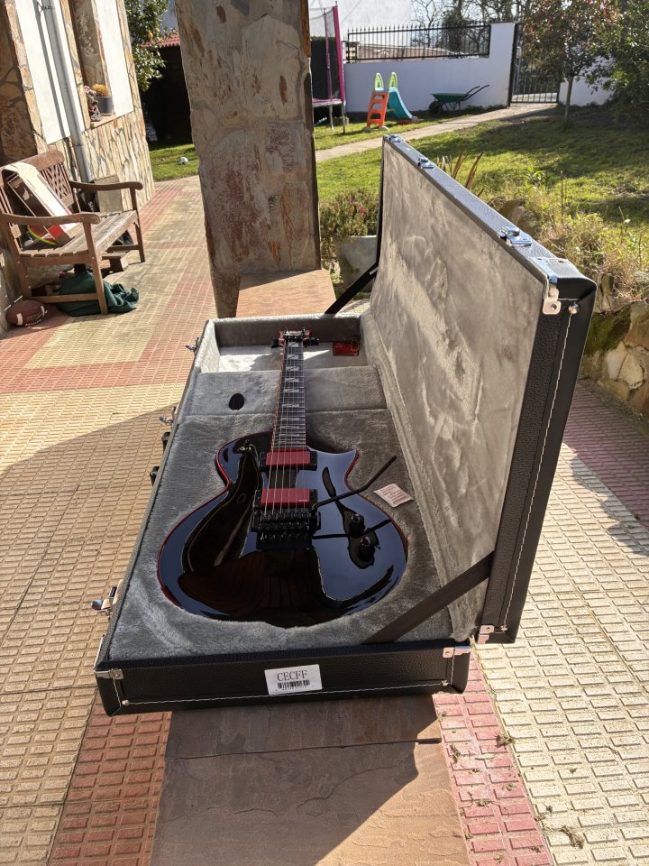 ESP LTD Gary Holt Signature