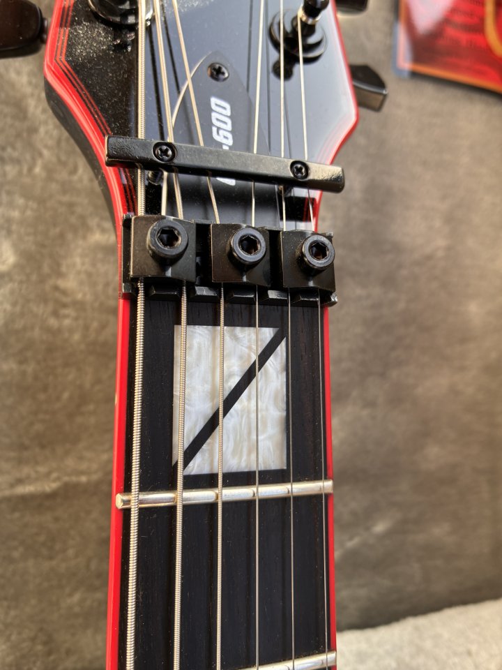 ESP LTD Gary Holt Signature