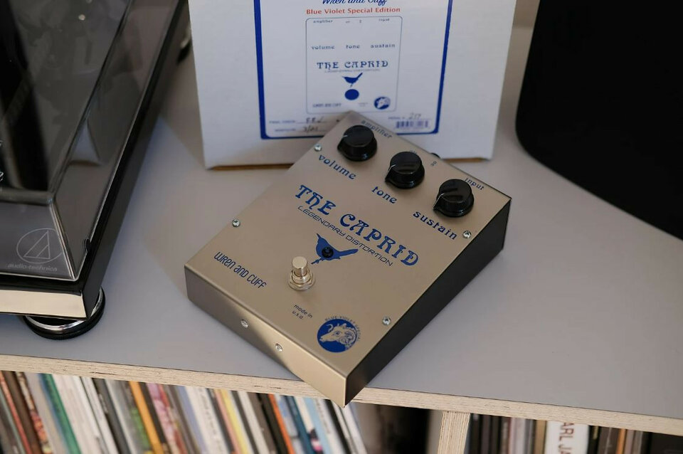 Wren and Cuff Blue-Violet Caprid - Envío Incluido