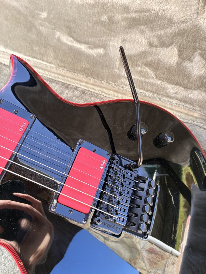 ESP LTD Gary Holt Signature