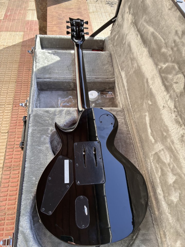 ESP LTD Gary Holt Signature