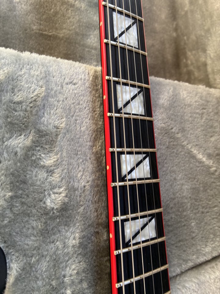 ESP LTD Gary Holt Signature