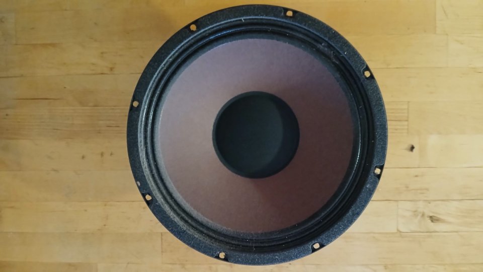 Altavoz Eminence Ragin Cajun 10"