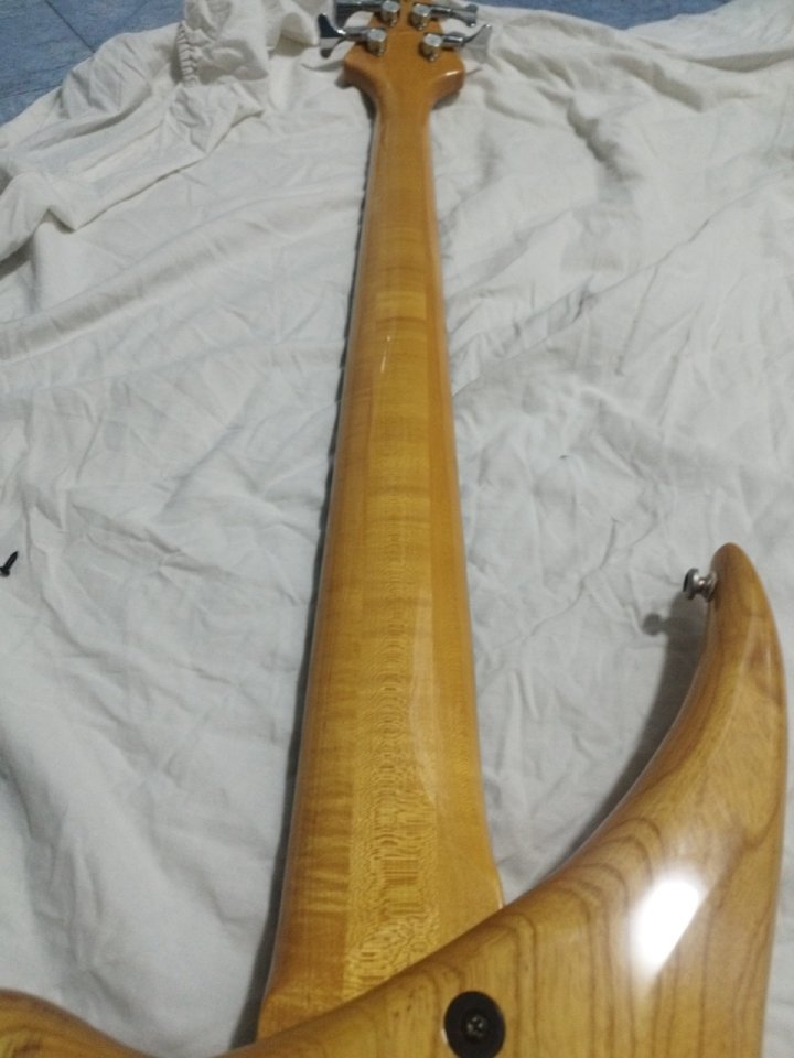 Bass tune twb-5 serie wood custom