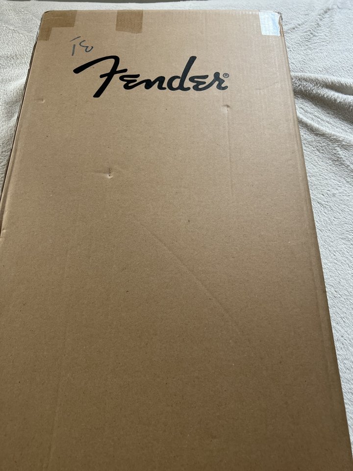 Fender Tom Delonge Starcaster SFG RF NO CAMBIOS