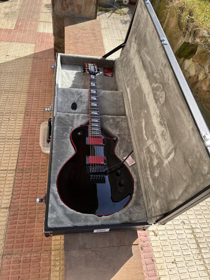 ESP LTD Gary Holt Signature