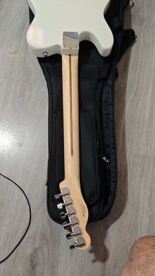 Mástil fender telecaster thinline de segunda mano · Foto 5 de 7 · Madrid · 230 €