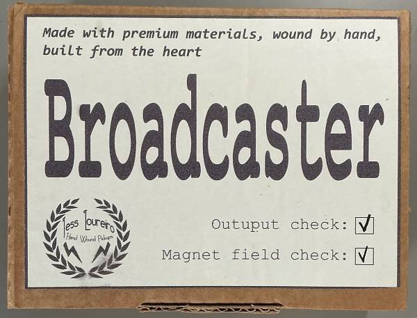 Jess Loureiro Stratocaster / Telecaster