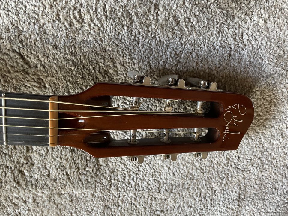 Godin Multiac Spectrum