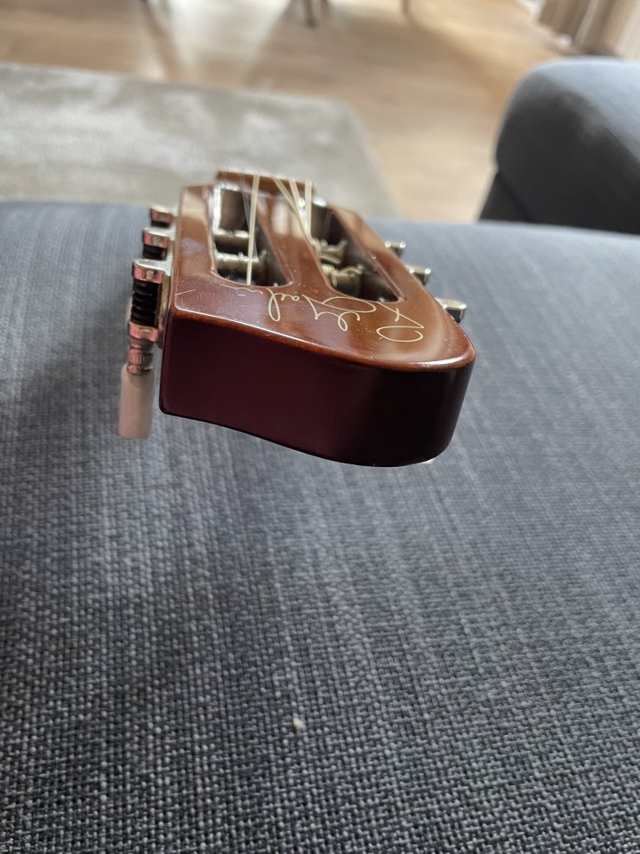 Godin Multiac Spectrum