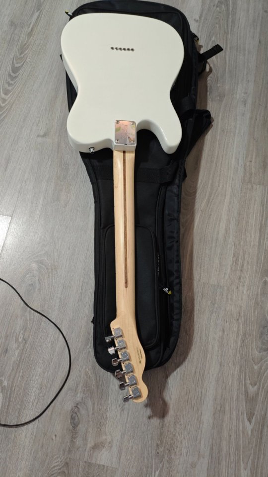 Mástil fender telecaster thinline de segunda mano · Foto 7 de 7 · Madrid · 230 €