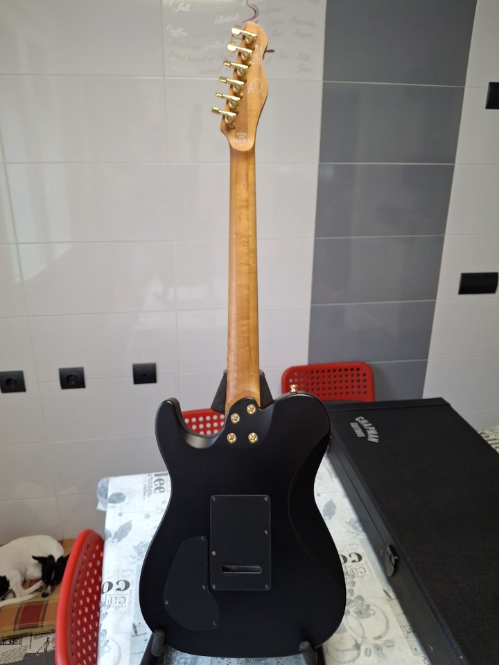 Chapman ML3 Pro BEA Carthus Burst Rabea Massaad Signature