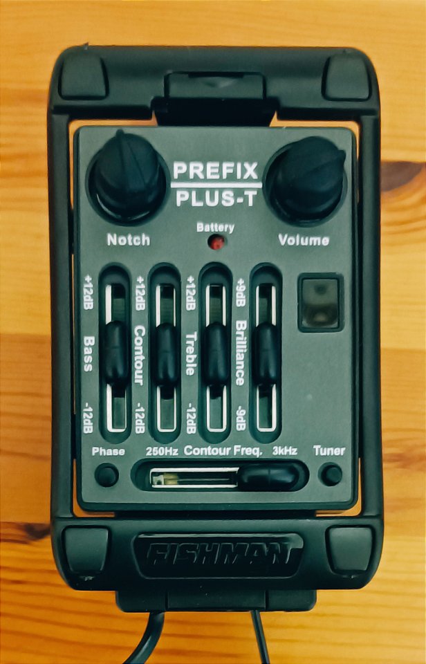 Fishman Prefix Plus T