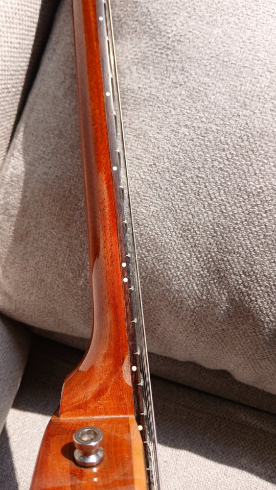 Gibson Les Paul Studio '50s Tribute Goldtop Humbuckers de segunda mano · Foto 9 de 10 · Navarra · 980 €