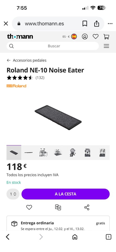 Roland NS10 Noise