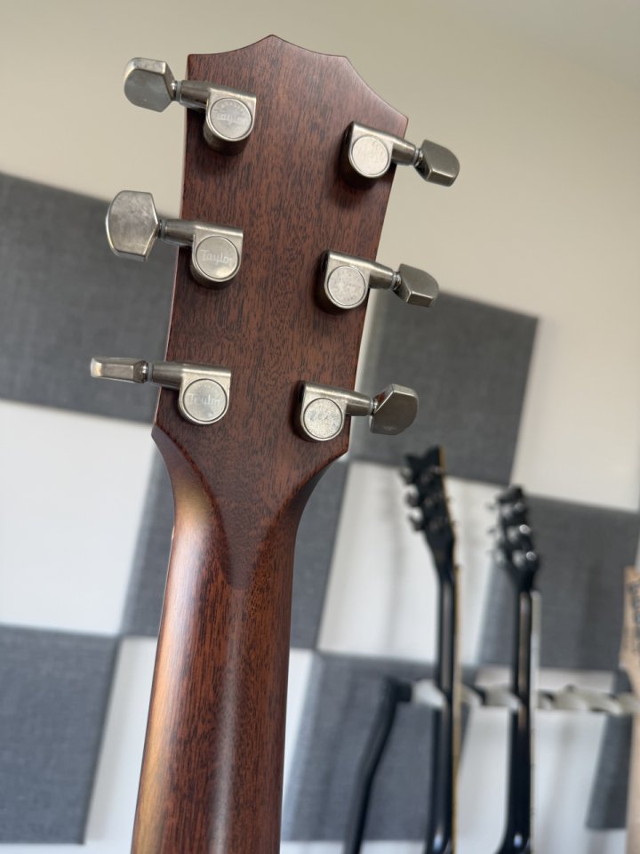 Taylor 322ce de segunda mano · Foto 5 de 10 · Madrid · 1980 €