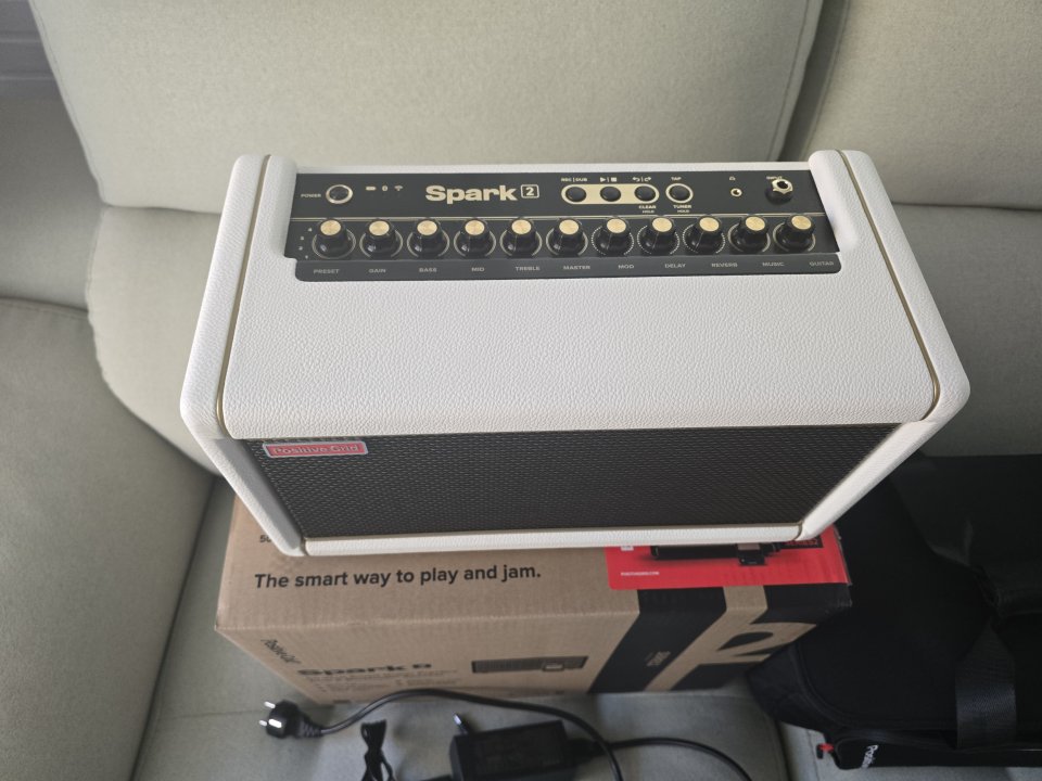 Positive grid spark 2