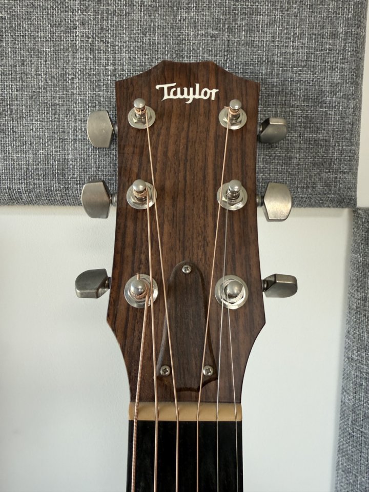 Taylor 322ce de segunda mano · Foto 4 de 10 · Madrid · 1980 €