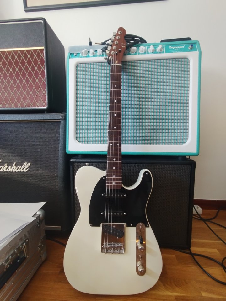 Telecaster luthier tres pastillas de segunda mano · Foto 1 de 5 · Asturias · 1200 €