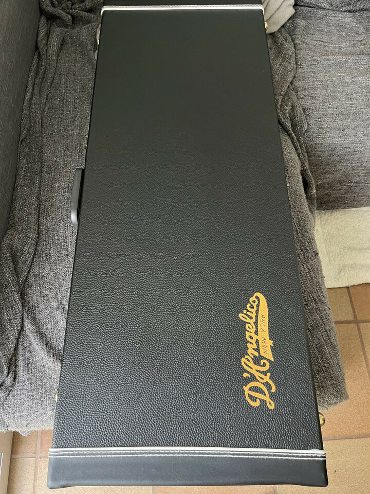 D'Angelico Deluxe Bedford