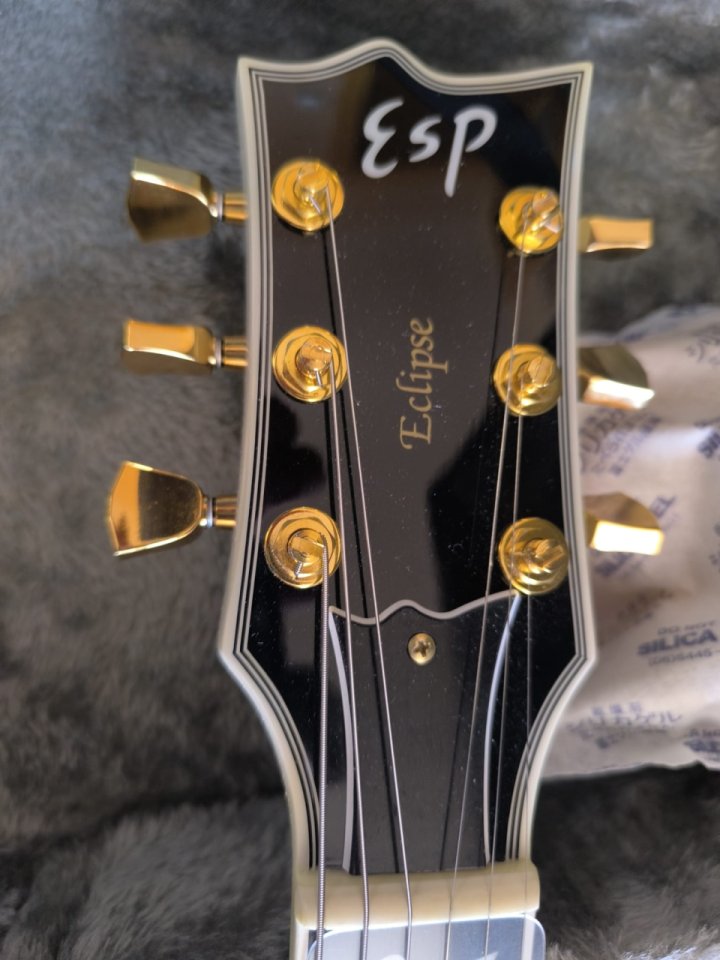 ESP Eclipse - I CTM Snow White