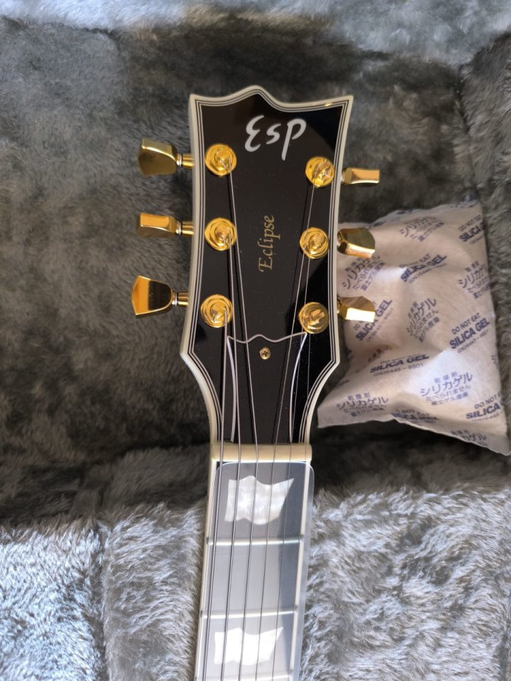 ESP Eclipse - I CTM Snow White