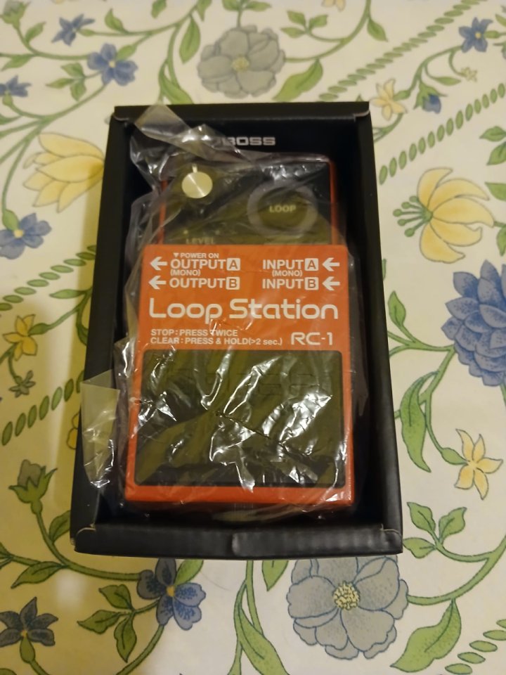 Pedal Boss RC1 looper