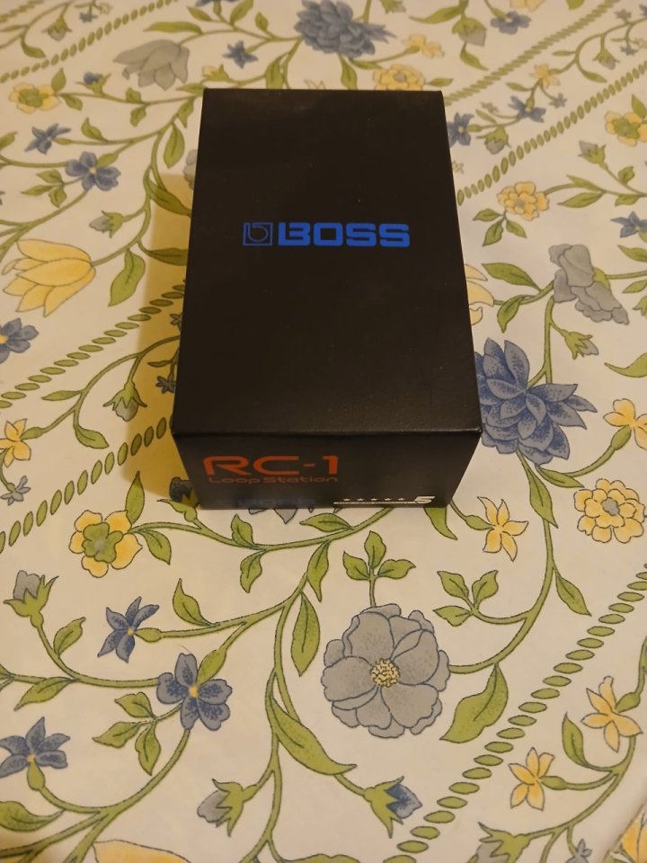 Pedal Boss RC1 looper