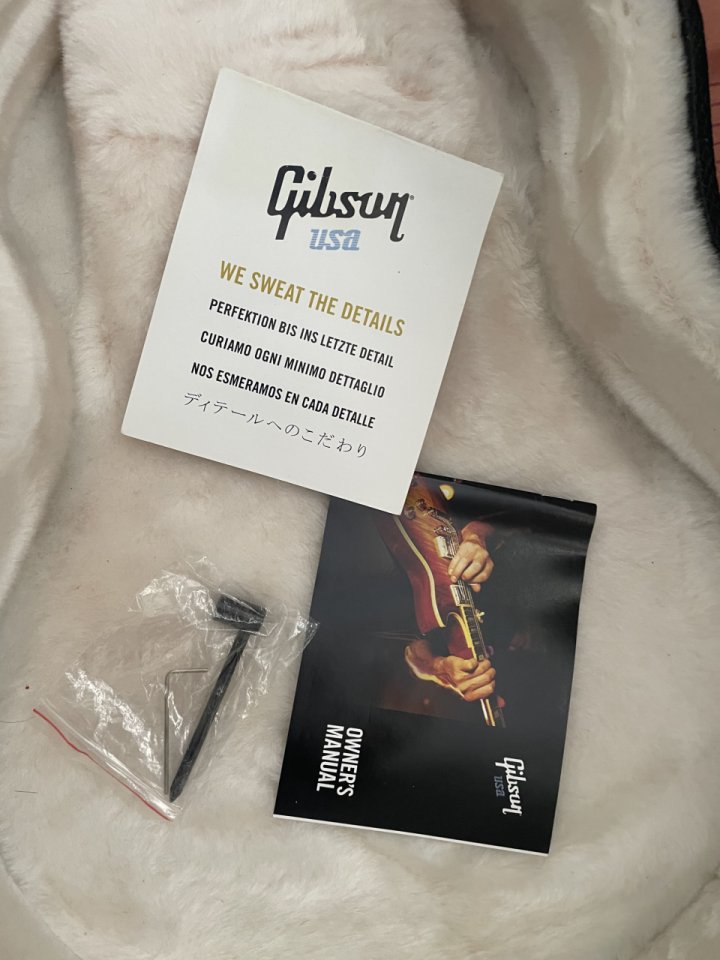Gibson Les Paul Standard 2013 - Tapa AA - ¡Impoluta! (3,87kg) de segunda mano · Foto 9 de 10 · Huelva · 2290 €