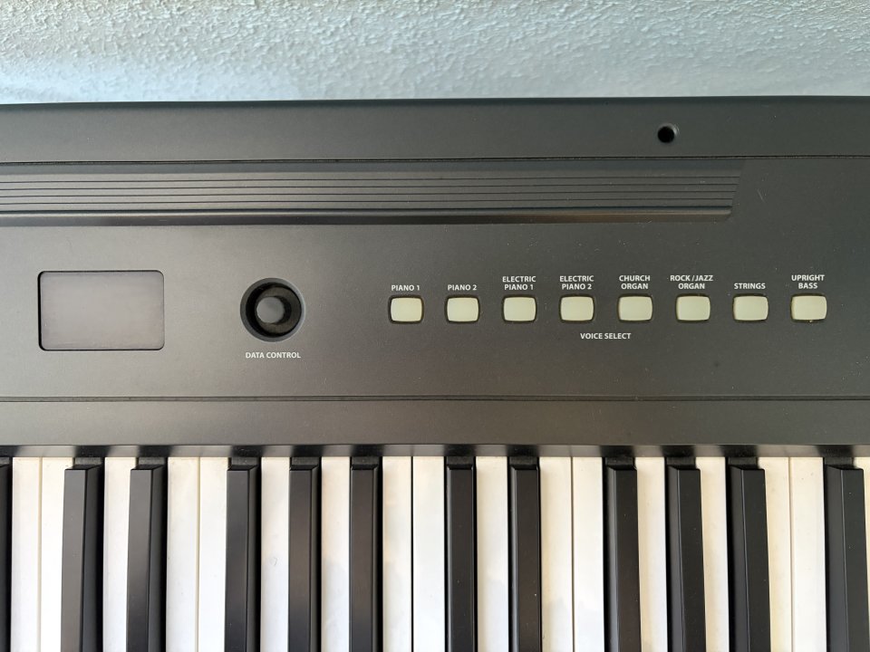 Piano digital contrapesado Thomann DP-25 (88 teclas) + Pie y Pedal de segunda mano · Foto 2 de 6 · Madrid · 230 €