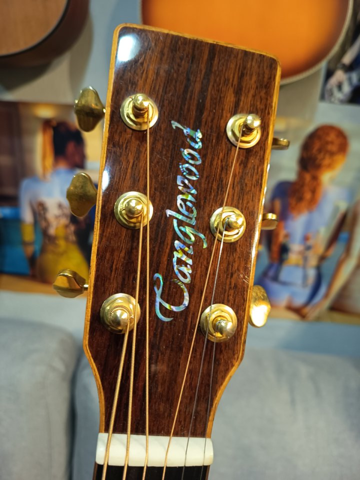 Tanglewood TW15-HB (2009)