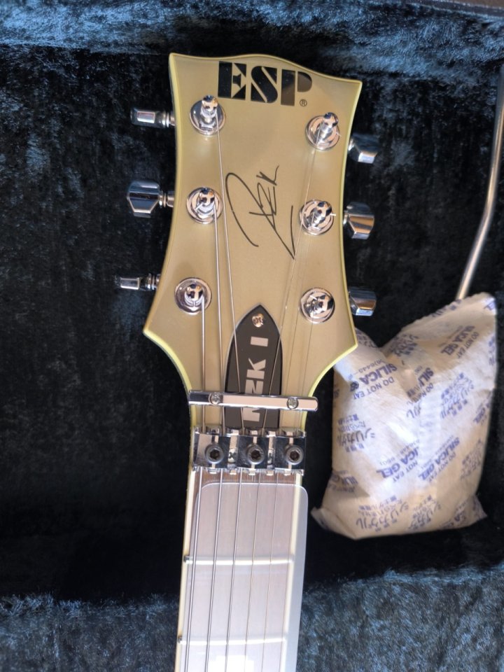 ESP RZK - 1 SIGNATURE Platinum Silver