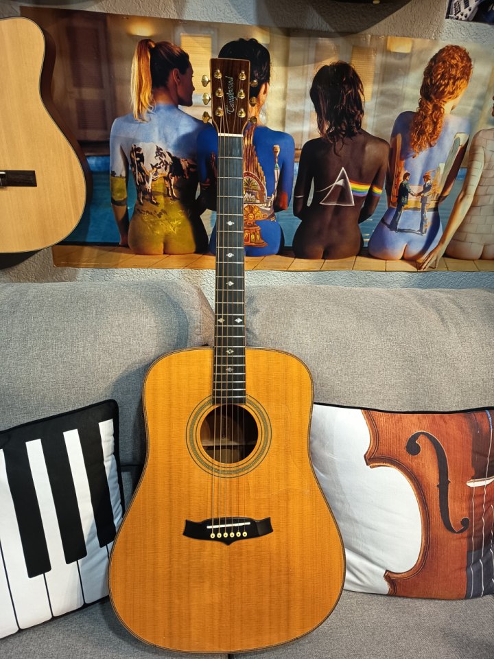 Tanglewood TW15-HB (2009)