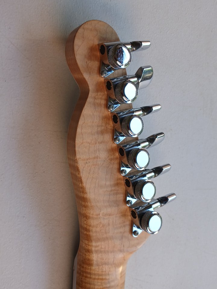 Warmoth USA DiMarzio Crunch Lab Sustainiac Stealth Pro Muse/Bellamy Style de segunda mano · Foto 7 de 10 · Lleida · 1100 €