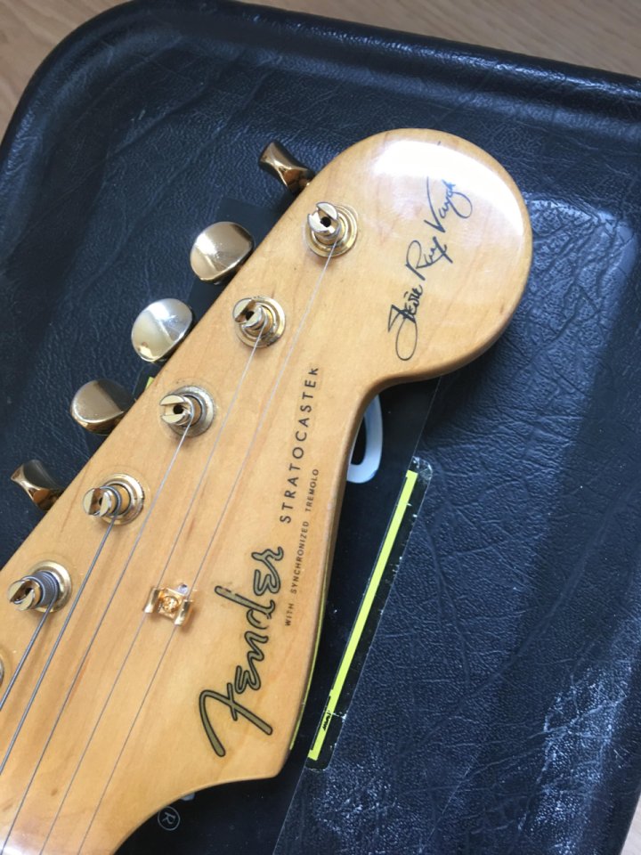 fender srv signature