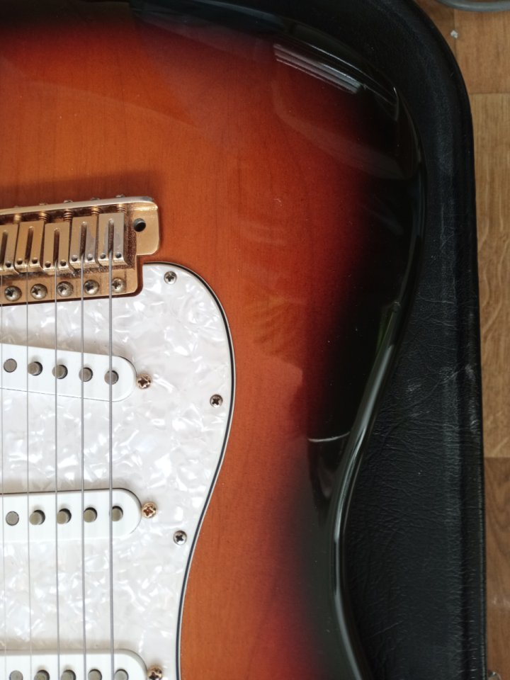 fender srv signature